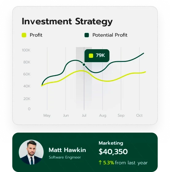 Havan Investimentos ativos
